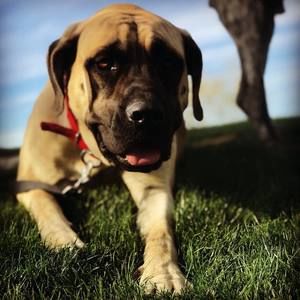 Meet your Posher, Heath